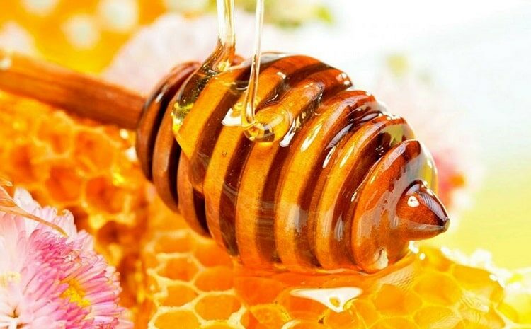  Le Miel et des Abeilles d’Iran