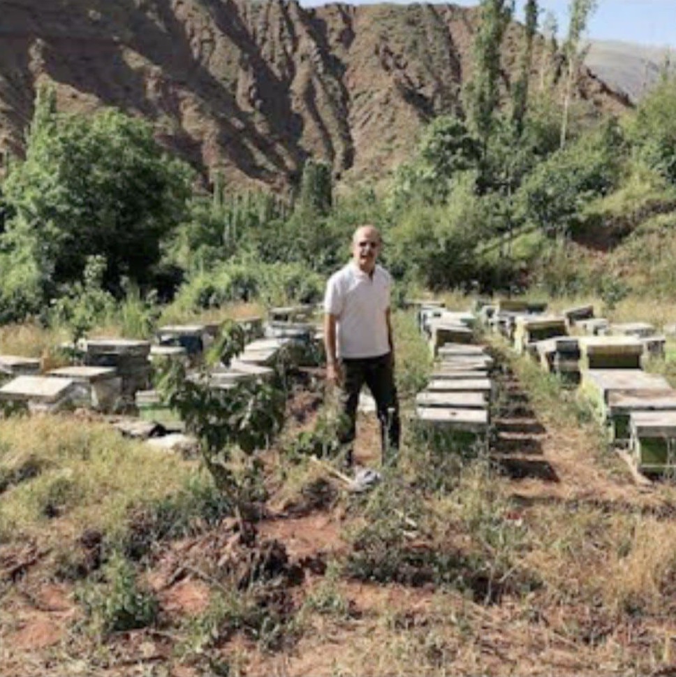 ici Monsieur Resa Shahrouzi avec ses ruches à Qazvin en Iran